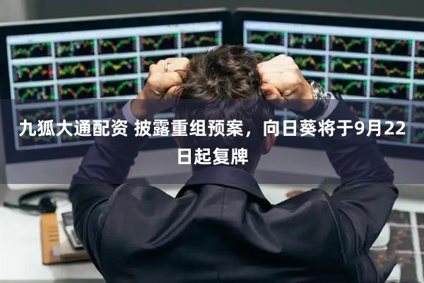 九狐大通配资 披露重组预案，向日葵将于9月22日起复牌